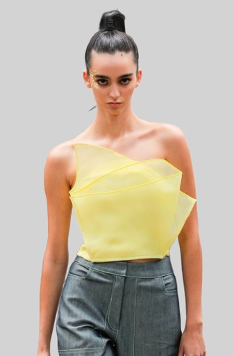 RA. (SUNFLOWER) TOP