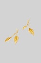 Engraved Leaf Earrings
